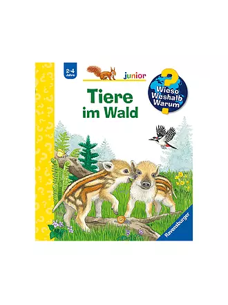 RAVENSBURGER | Buch - Wieso Weshalb Warum Junior - Tiere im Wald, Patrizia Mennen | 
